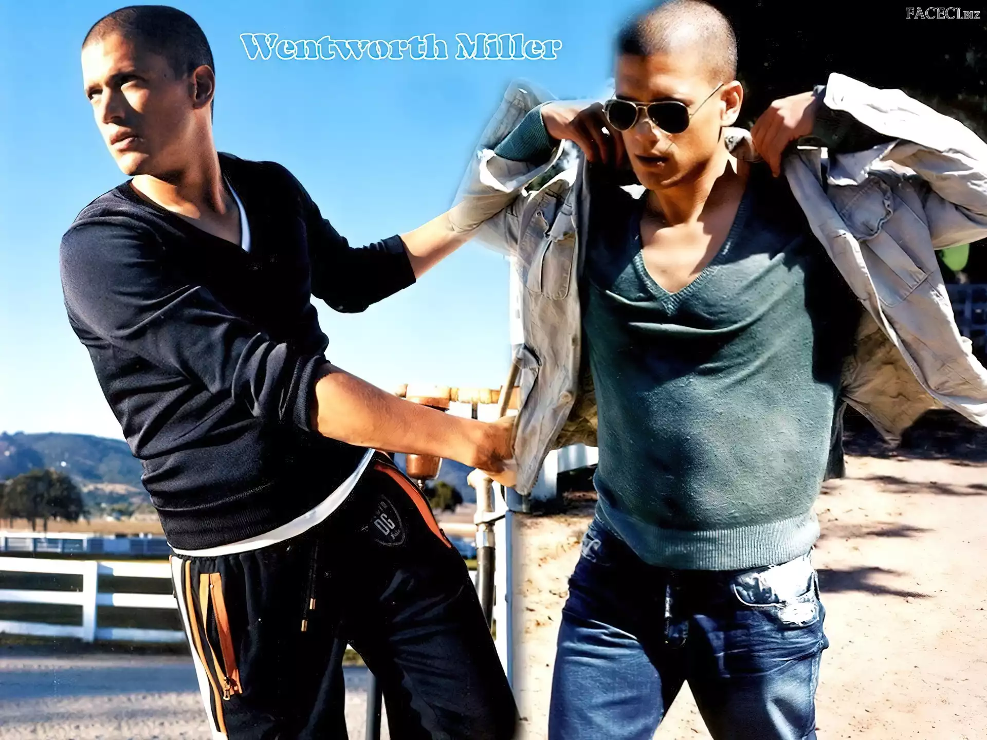 Wentworth Miller, sweterek