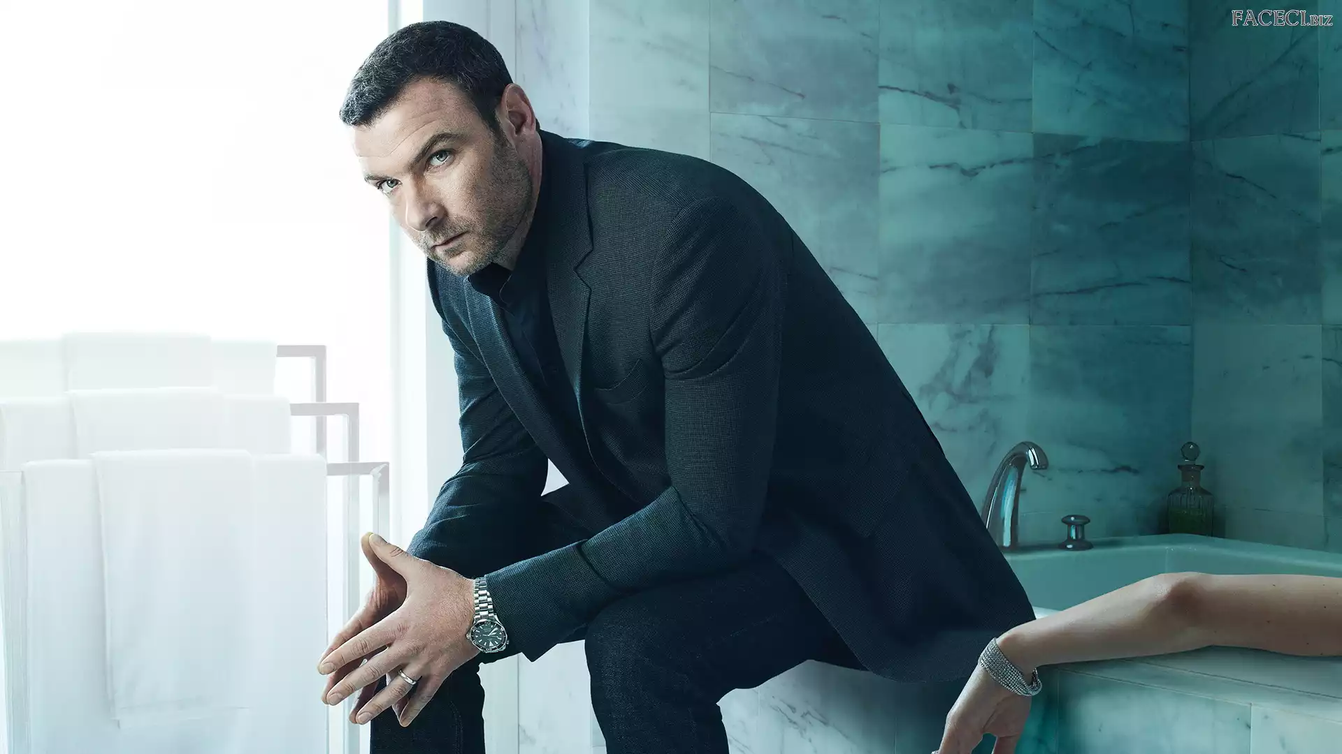 Ray Donovan, Liev Schreiber, Serial, Aktor