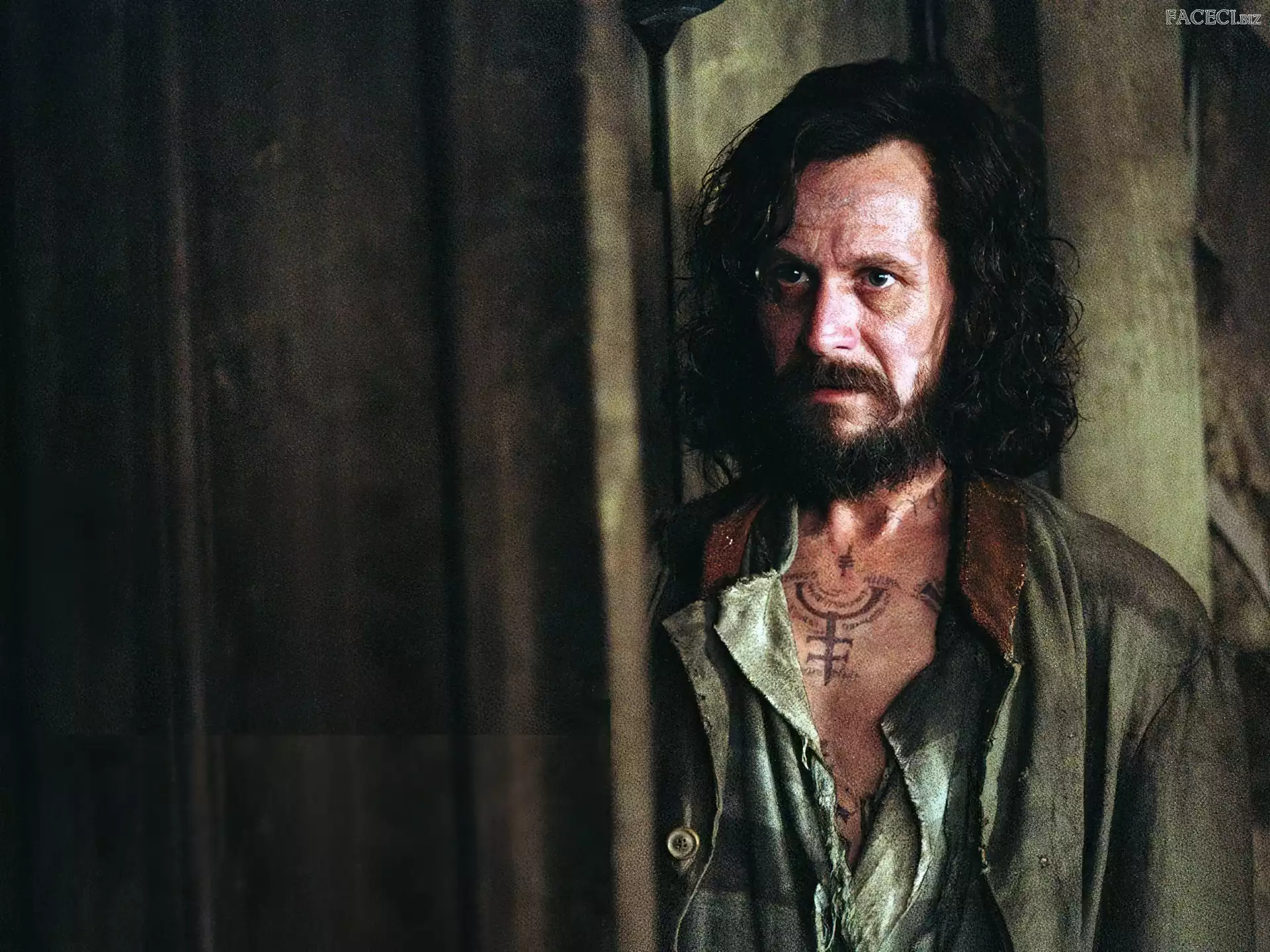 tatuaż, Gary Oldman, długie włosy